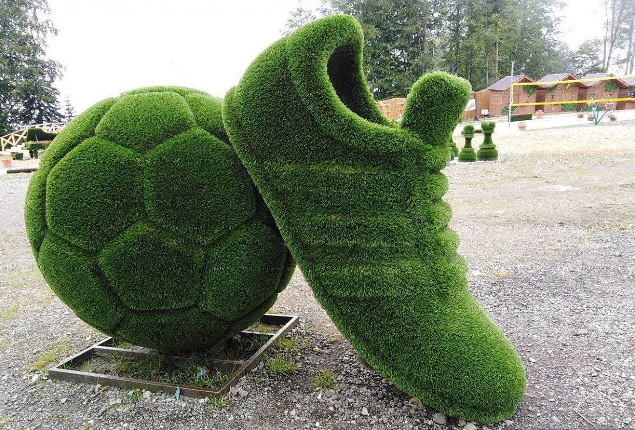 Топиари Мяч - вид 5