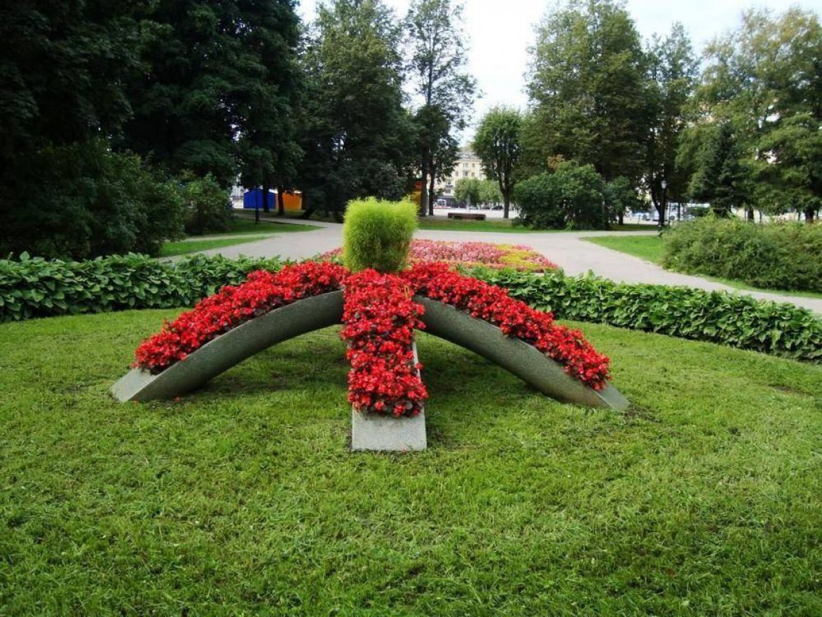 Цветочница Виер - вид 2